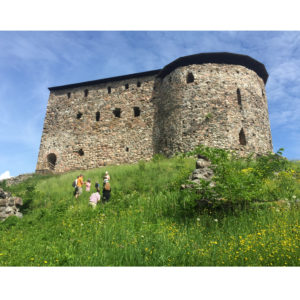 Wild Edible Plants by Raseborg Castle | Pratense